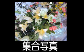 Wʐ^ Photo Sekine